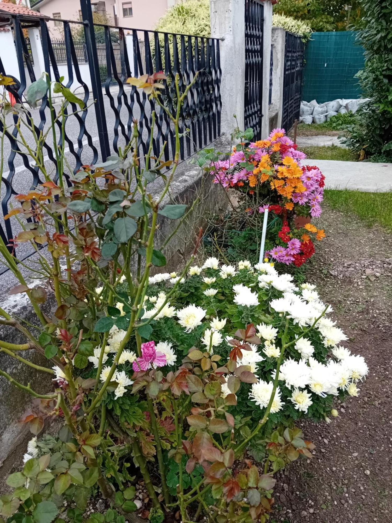 Villa Azzurra Monfalcone Exteriör bild